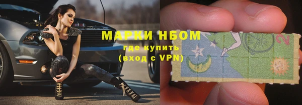 шишки Аркадак