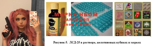 шишки Аркадак