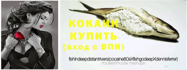 шишки Аркадак