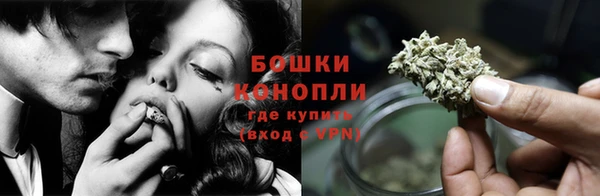 шишки Аркадак