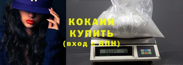 шишки Аркадак