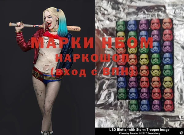 твердый Чекалин